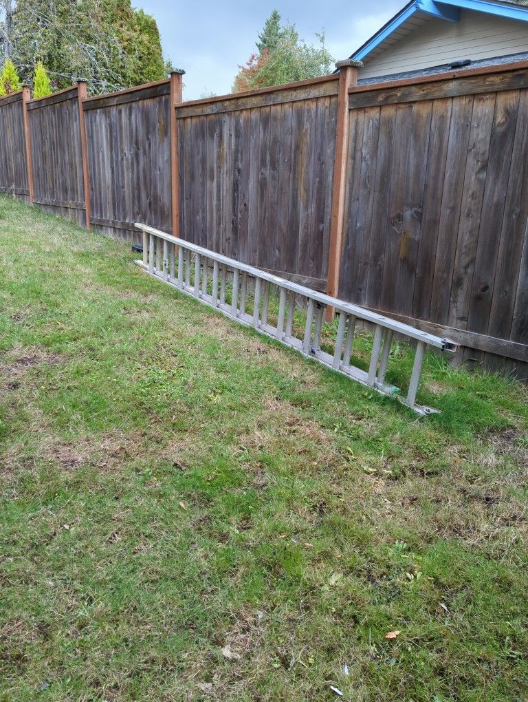 25' Ladder