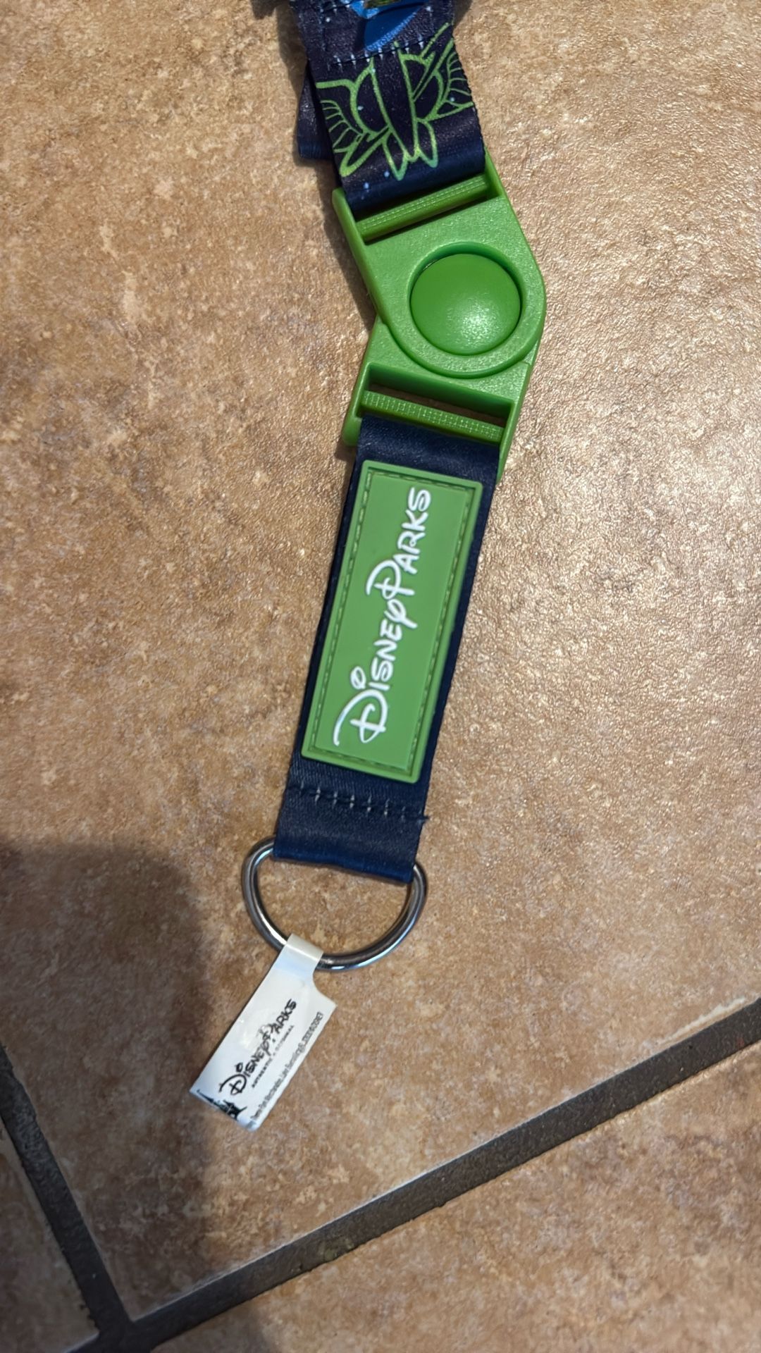 Disney lanyard And Pins