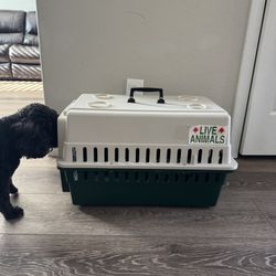 Dog Crate 