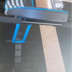 Brand New Adjustable Weight Workout Bench