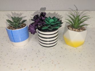 3 piece succulent potted plants 3"