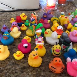 Ducks