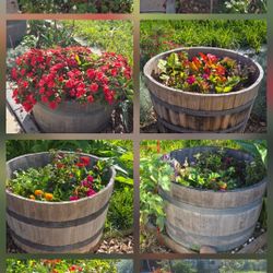Wooden Garden Barrels