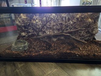 Terrarium 20g For Reptile