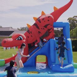 Dinosaur Water Slide 
