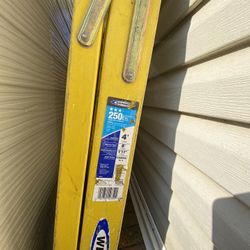 4’ Werner Step ladder