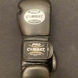 BOXING GLOVES Pro Combat 