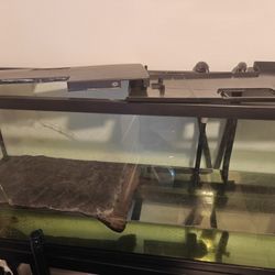 Fish Tank