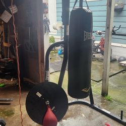 Punching Bag