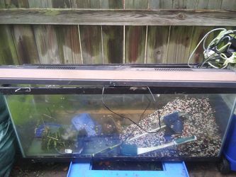 55 Gal. Aquarium