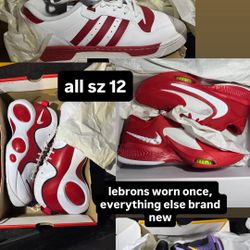 Baskeball shoes (Lebrons, Giannis, Adidas)