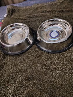 On water and one food bowl Chrome brand new for a dog