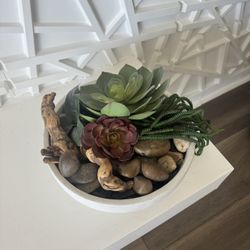 Plant Decor 