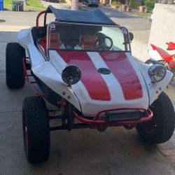 Sport King Buggy 1974