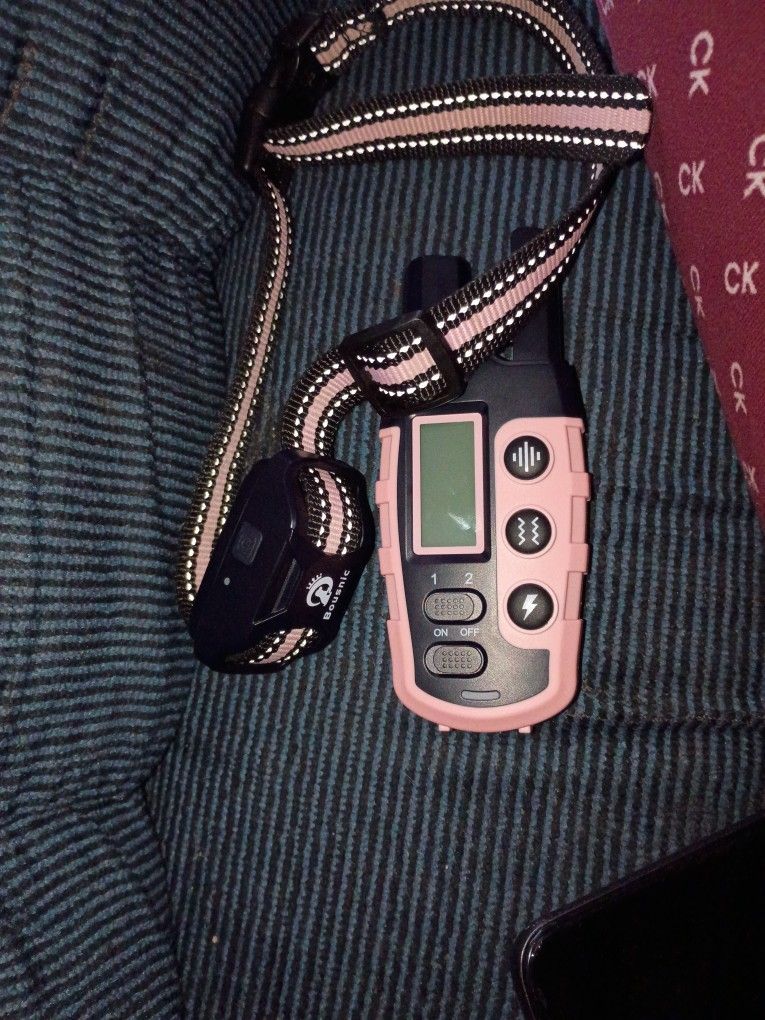 Dog Training Collar