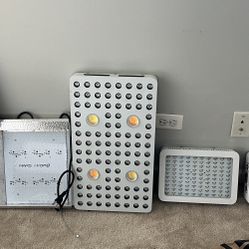 Grow lights 