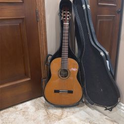guitar with case