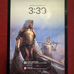 iPad Pro 11in 