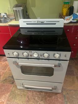Vintage electric stove .  5 burners. Retails for $2999. I am selling for $1000