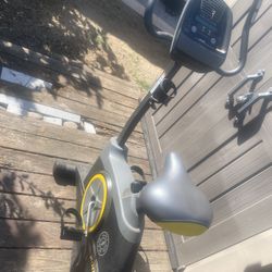 Golds Gym Stationary Bike