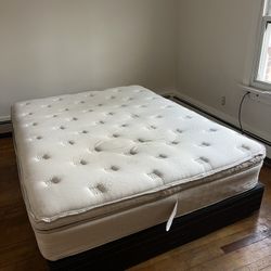 Quem Size Mattress And Spring Box