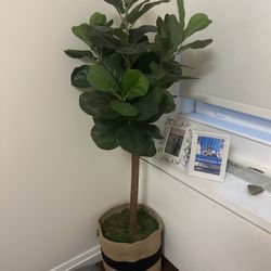 5 FT Fake plant / tree