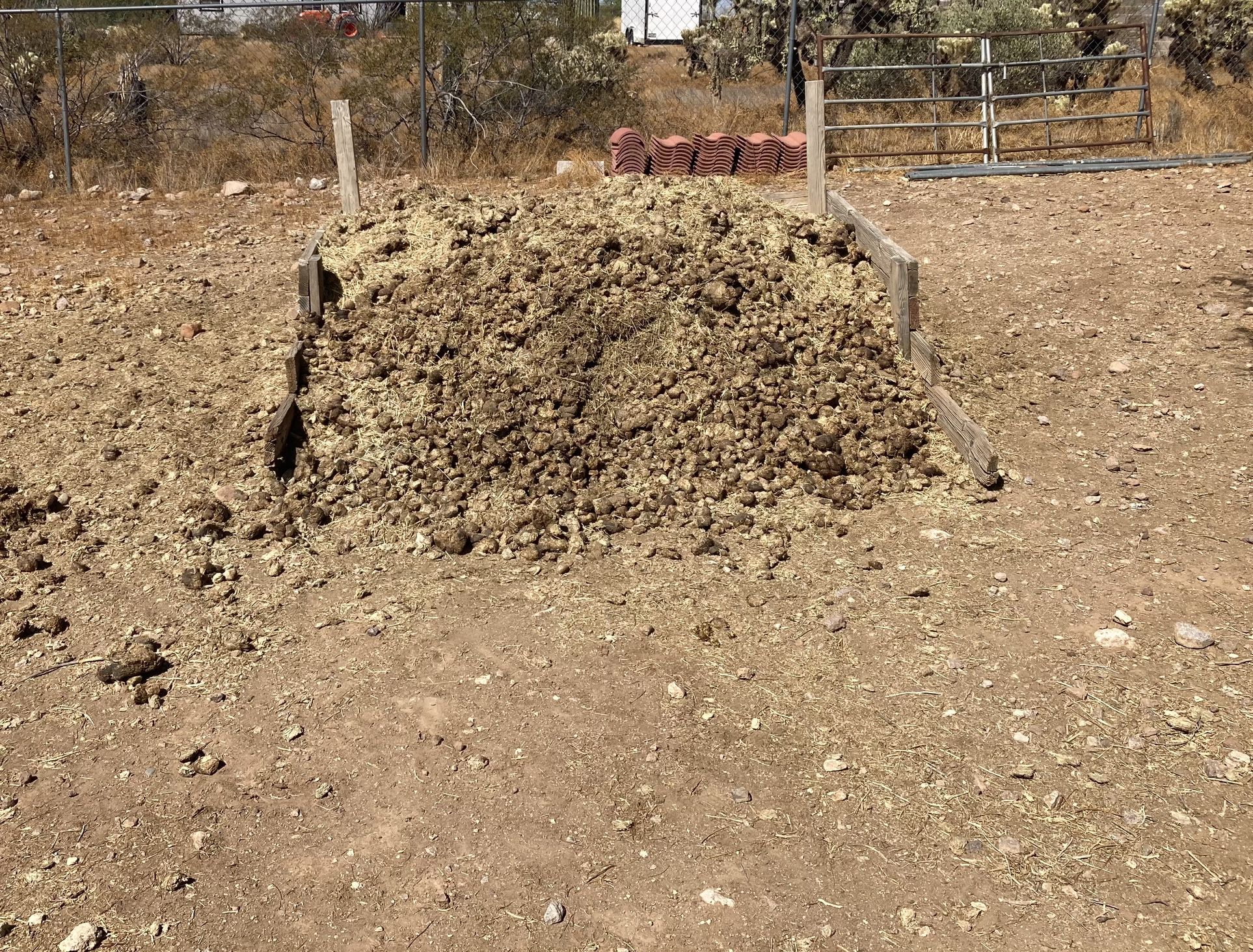 Free Horse Manure