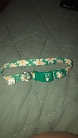 Small dog collar