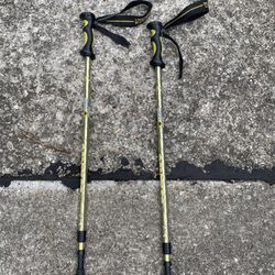Waking Hiking Poles