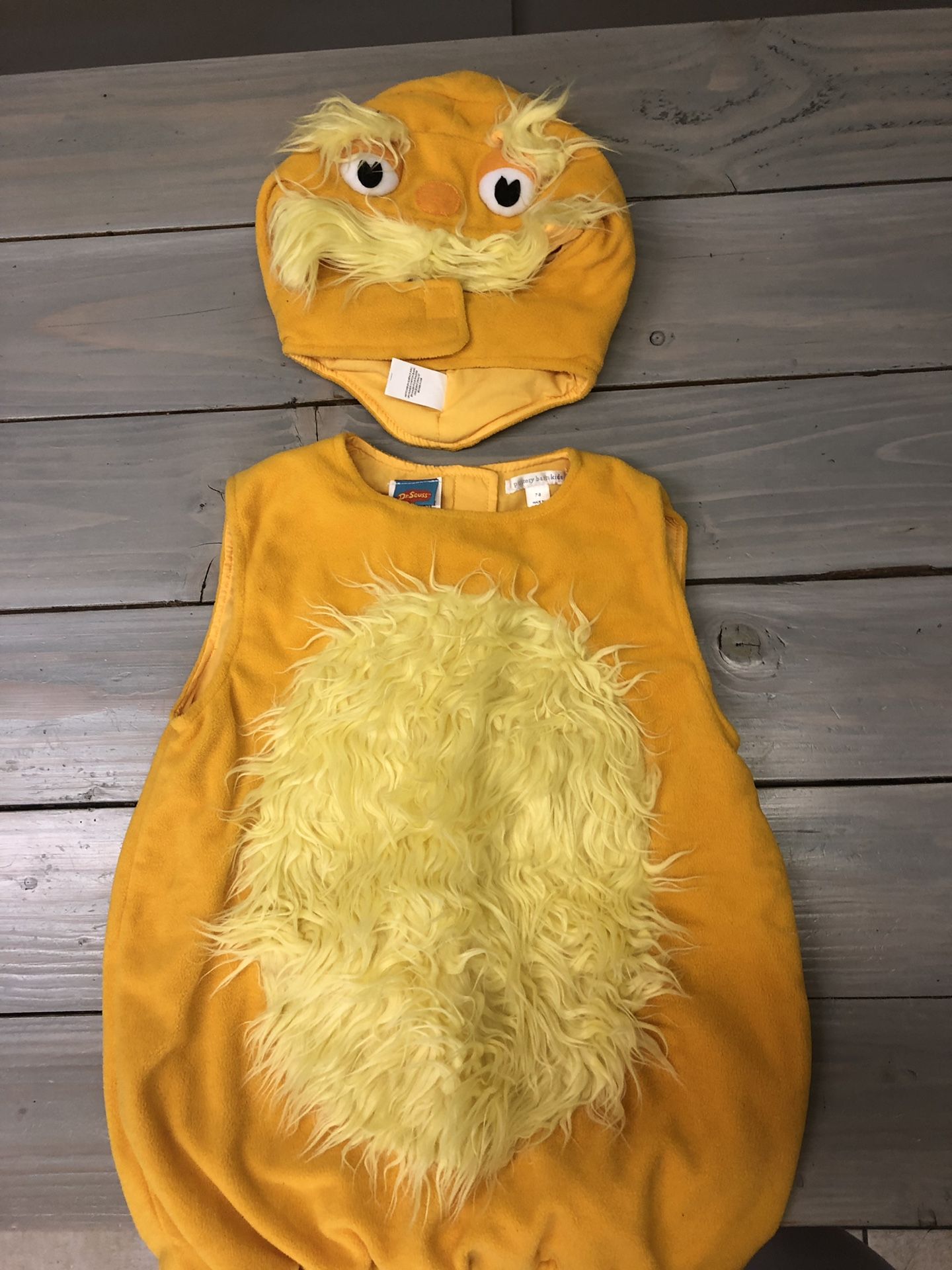 Dr Seuss The Lorax costume
