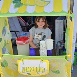 Lemonade Stand Open 9410 Crabtree Lane Port Richey 