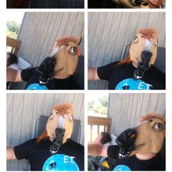 Adult Horse Mask Halloween

Made of rubber. Great for Halloween costume. Brand new.  One size fits most