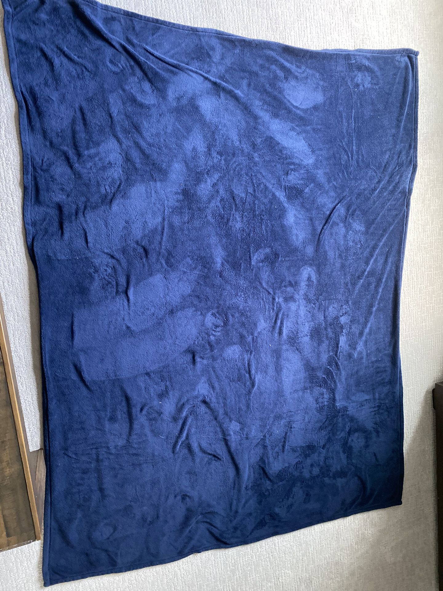 Blue Fleece Blankets (set of 4)