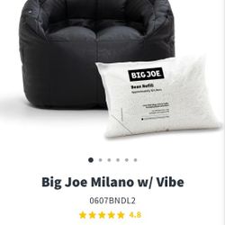 Big Joe Bean Bag Chair With Vibe $70 Neg.