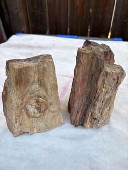 2 PIECES OF PETRIFIED WOOD!