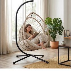 Hanging Egg Chair