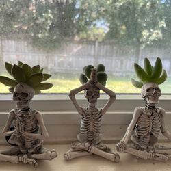 Set of three namaste yogi succulent skeletons
