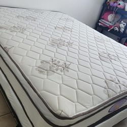 New Queen Mattress And Box Spring 2pc 2pc 