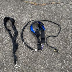 Dog Sled harnesses