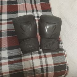 Boxing Gloves For 60 Dollars 