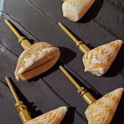 Cabinet Pulls (5)  Marjorie Skouras - Natural Seashell