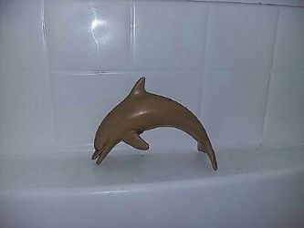 Dolphin