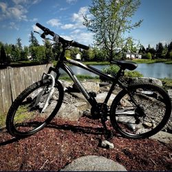 Mongoose Mountain Bike Lightweight Competition Series 