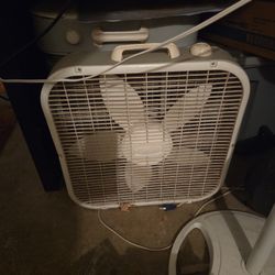 Box Fan $5 Each