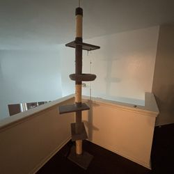 Cat Tree Can Adjust Height 