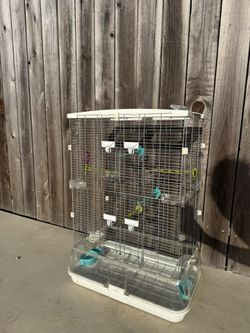 Bird Cage