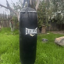 Every last Punching Bag 