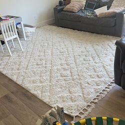Area Rug 8x10
