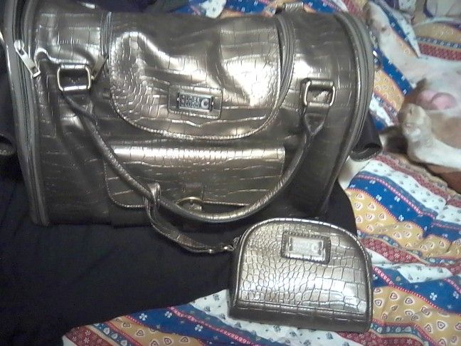 Cloe Ē & Cluzo Pet Carrier