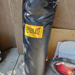 Everlast Punching Bag